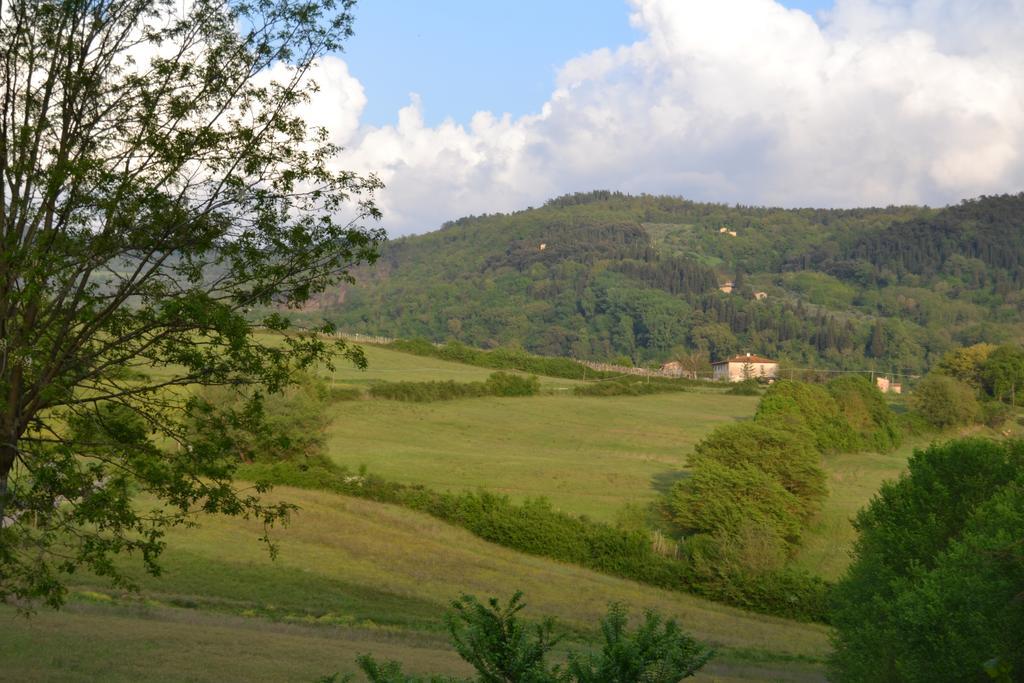 B&B Villa Il Poggiolino Molino del Piano Eksteriør bilde